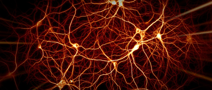 image of neurons